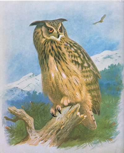Eagle Owl by Archibald Thorburn